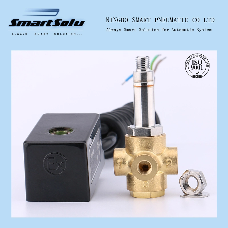 Customized Brass Stainless Steel Plastic OEM Solenoid Valve