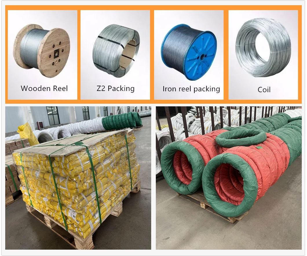 Factory Hot/Cold Rolled Low/High Carbon/Ms Steel Wire Rod SAE 1008 /1006 5.5 6.5 3.0 3.2mm Q195 Q235hot Dipped Gi Wire Nail Stainless Steel Wire Welding Rod